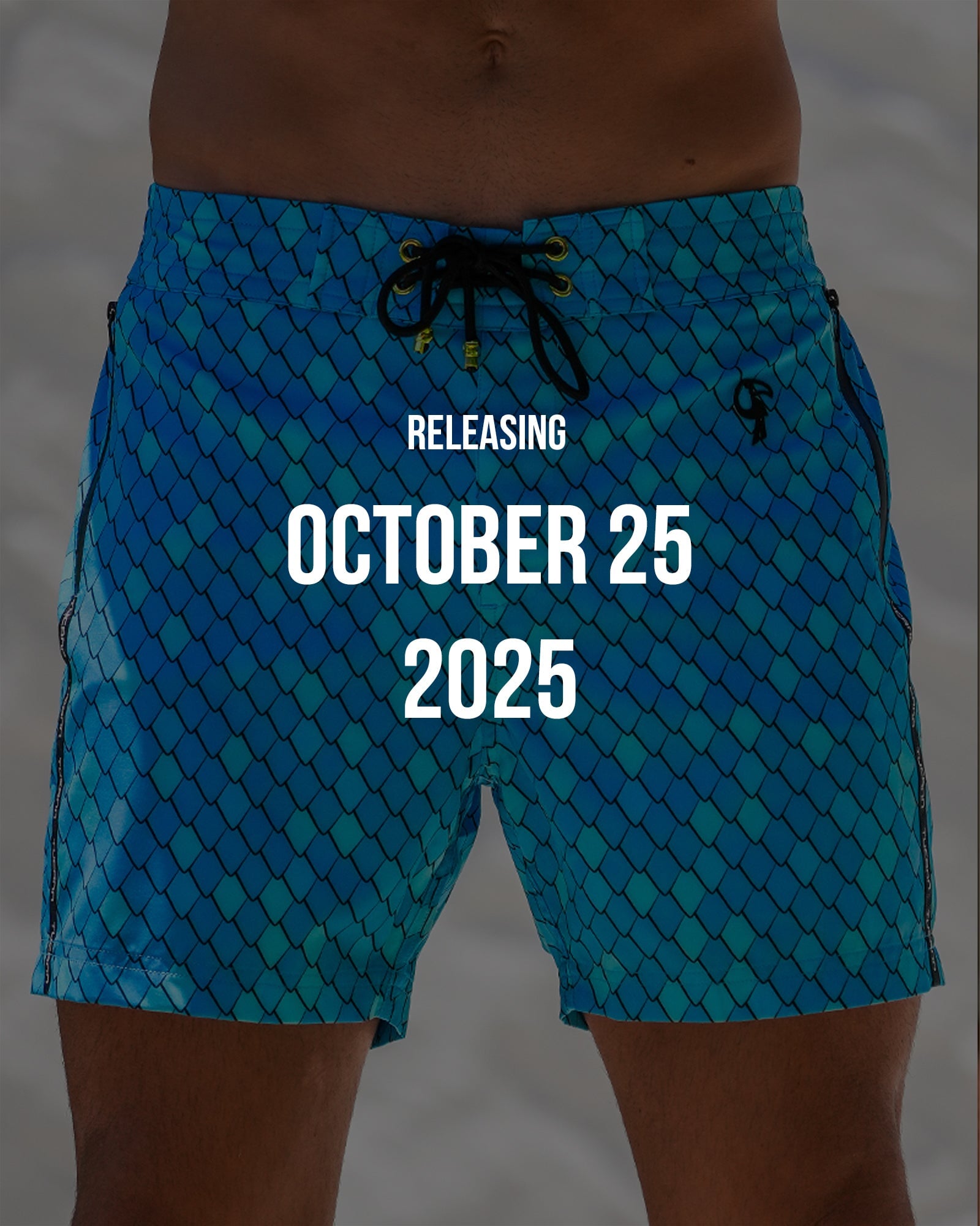 Dragon Scale - Blue 5" Shorts / Board shorts Tucann