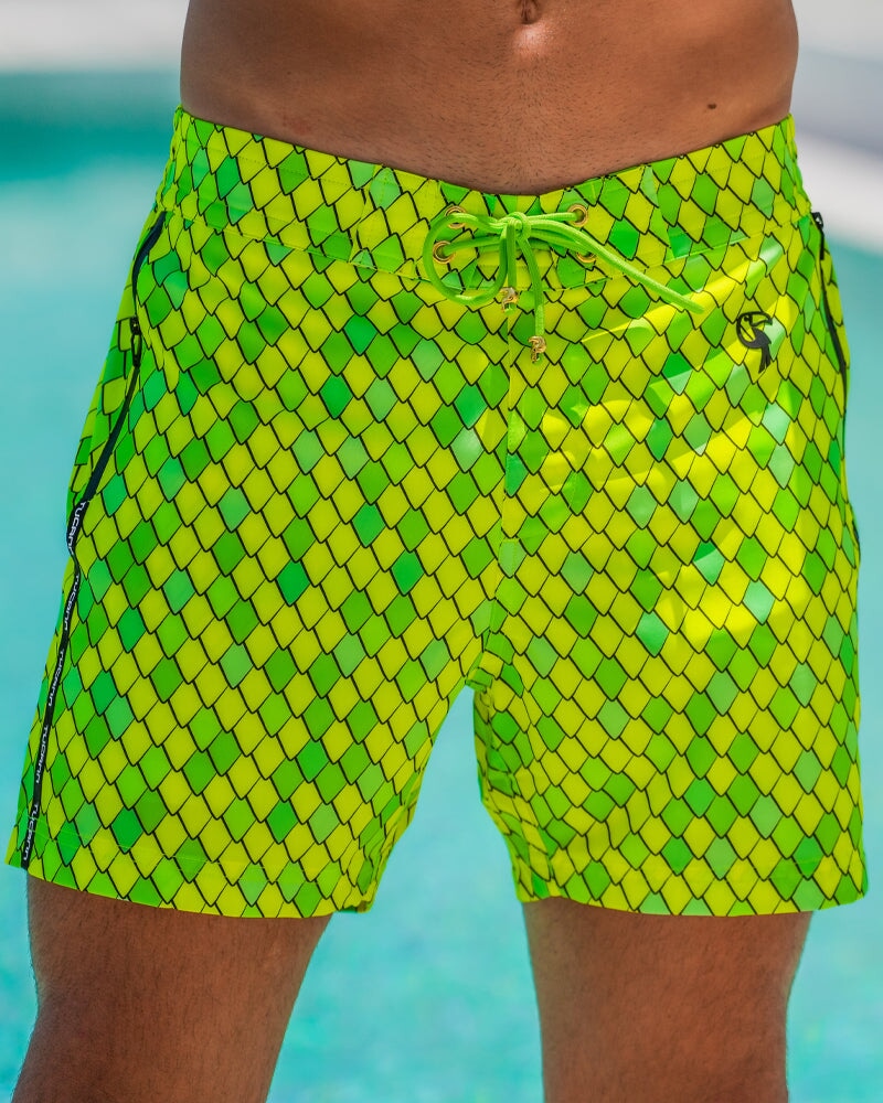 Dragon Scale - Lime 5