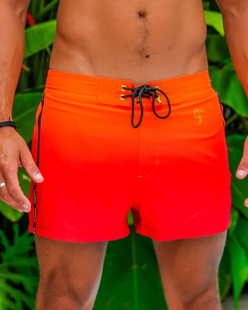 Faded Horizon - 3" Shorts / Board shorts Tucann