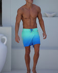 Mens blue swim shorts boardshorts