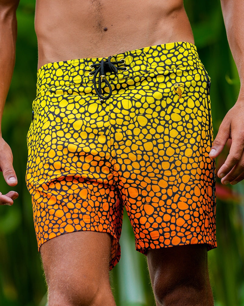 Stingray Sunset - 5" Shorts / Board shorts Tucann