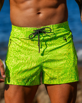 Bold Jungle - Lime 3