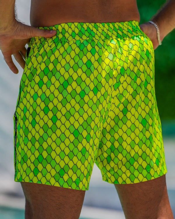 Dragon Scale - Lime 5" Shorts / Board shorts Tucann 