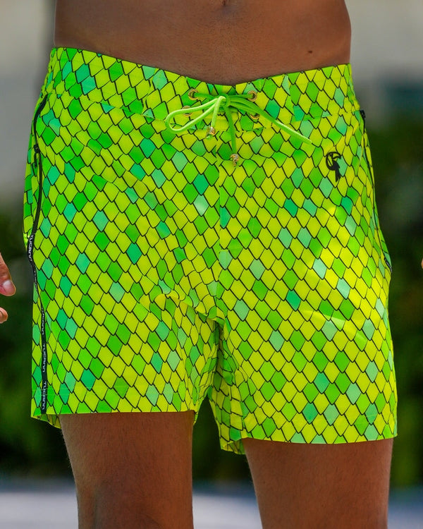 Dragon Scale - Lime 5" Shorts / Board shorts Tucann 