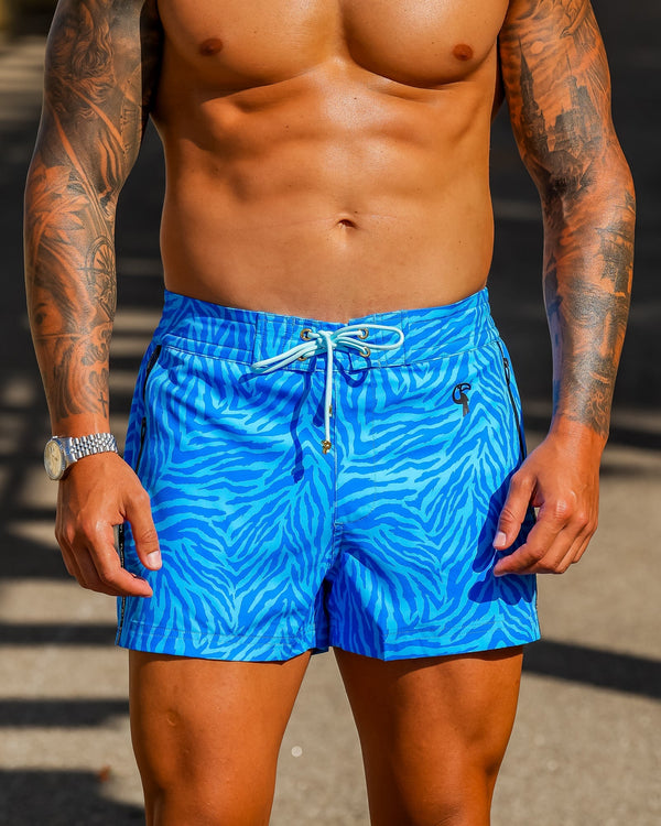 Electric Zebra - Blue 3" Tucann 