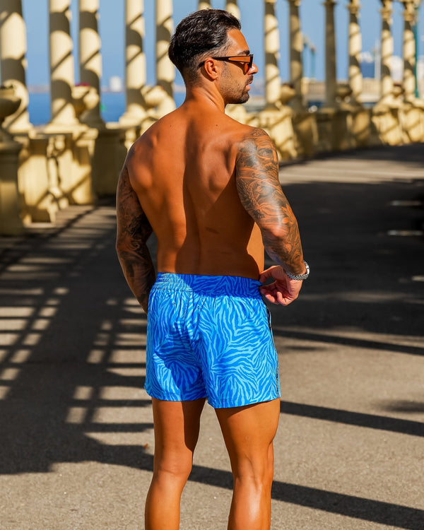 Electric Zebra - Blue 3" Tucann 