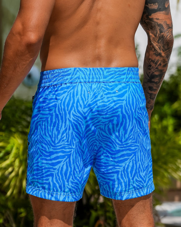 Electric Zebra - Blue 5" Tucann 