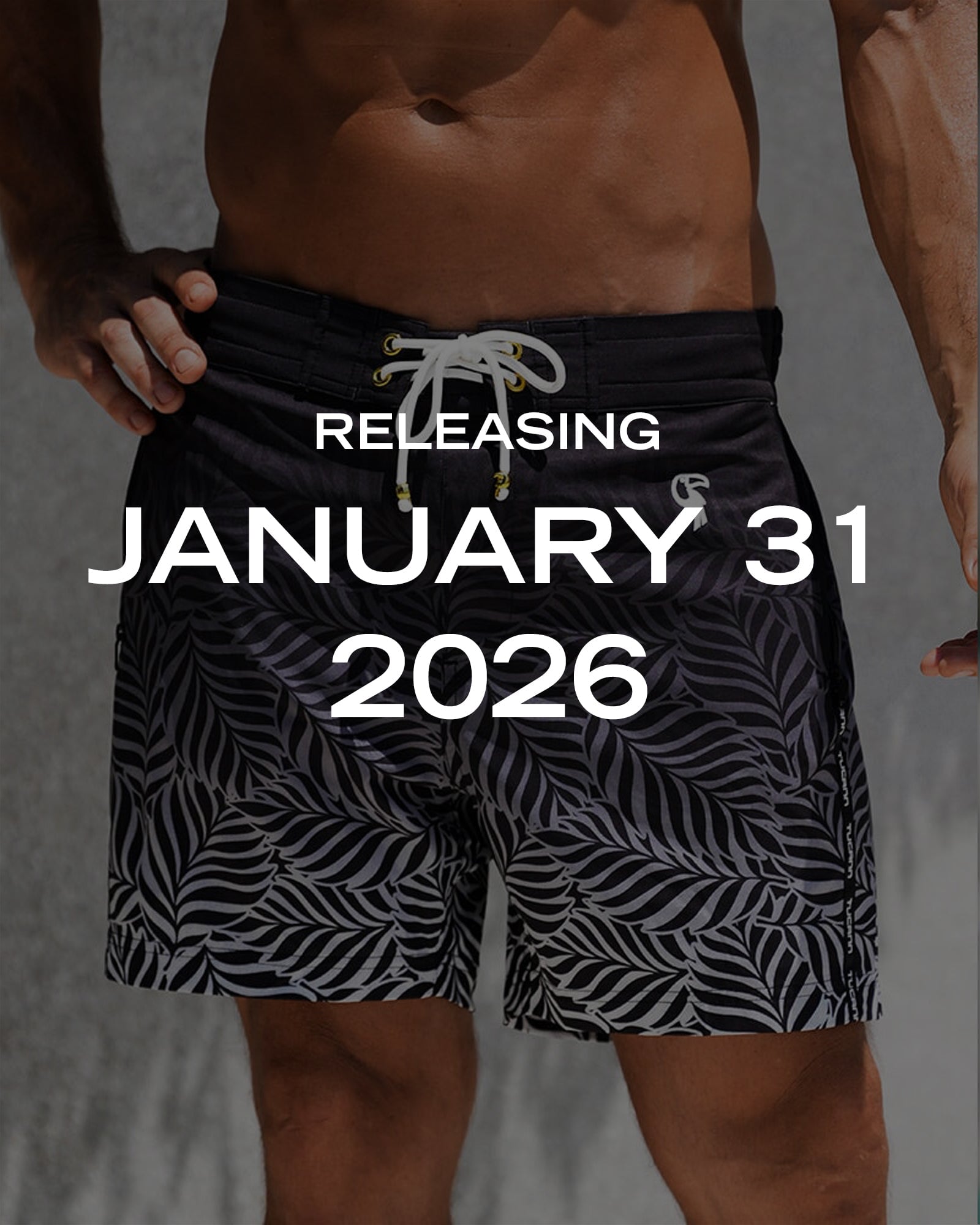 Faded Leaf - Ash 5'' Shorts / Board shorts Tucann 