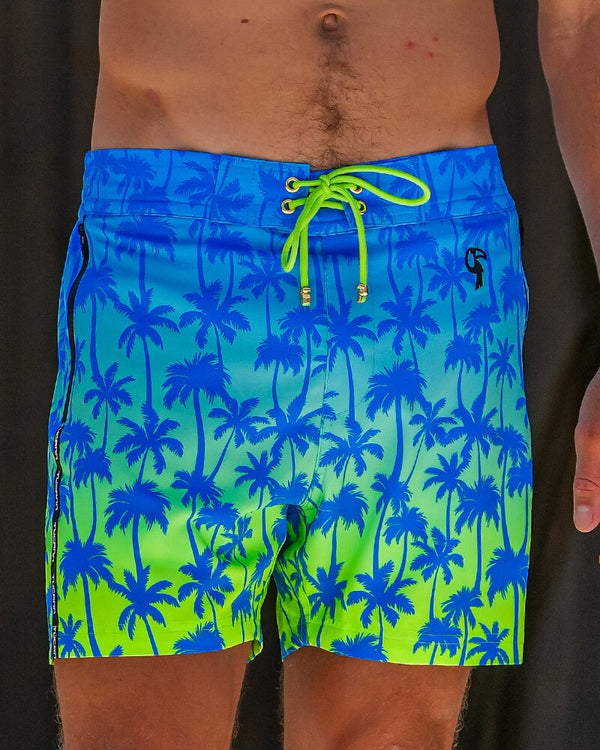 Faded Palm - Lagoon 5'' Shorts / Board shorts Tucann 