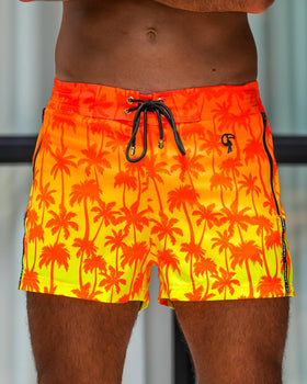 Faded Palm - Sunset 3'' Tucann 