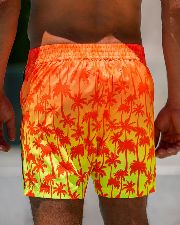 Faded Palm - Sunset 5'' Shorts / Board shorts Tucann 
