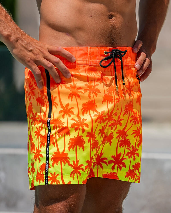 Faded Palm - Sunset 5'' Shorts / Board shorts Tucann 
