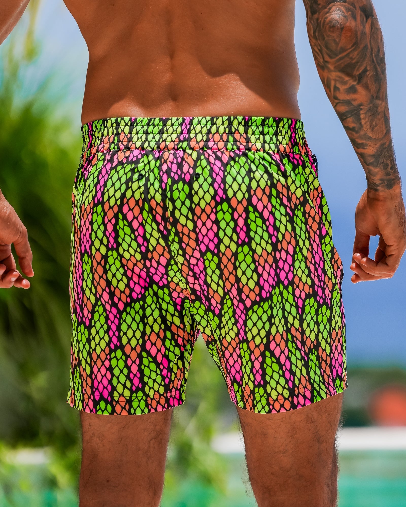 Faded Scales Candy 5" Tucann 