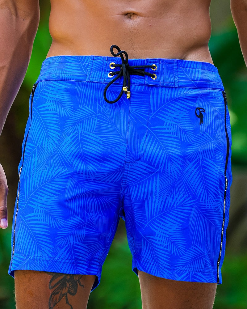 Hyper Fern - Azure 5