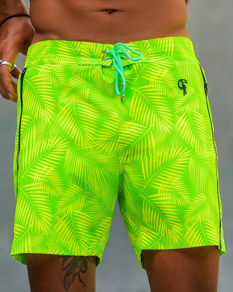 Hyper Fern - Gecko 5