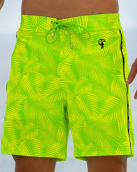 Hyper Fern - Gecko 7