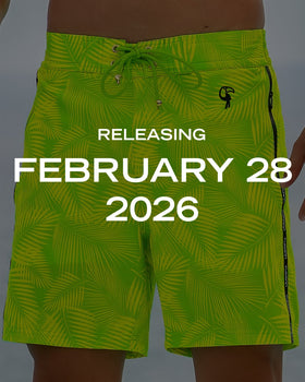 Hyper Fern - Gecko 7