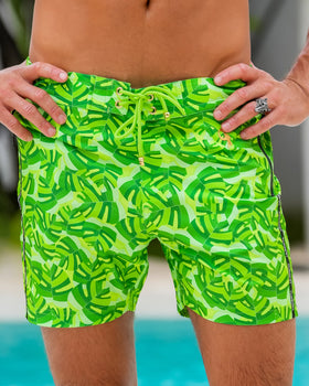 Monstera - Green 5