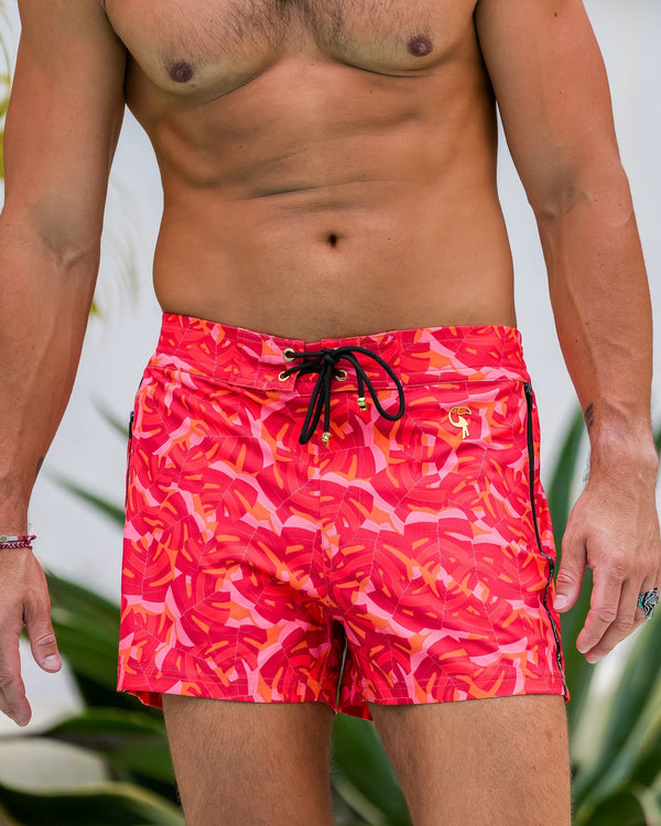 Monstera - Red 3" Tucann 