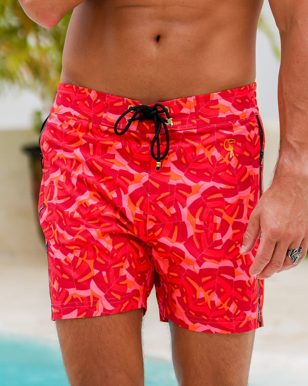 Monstera - Red 5" Tucann 