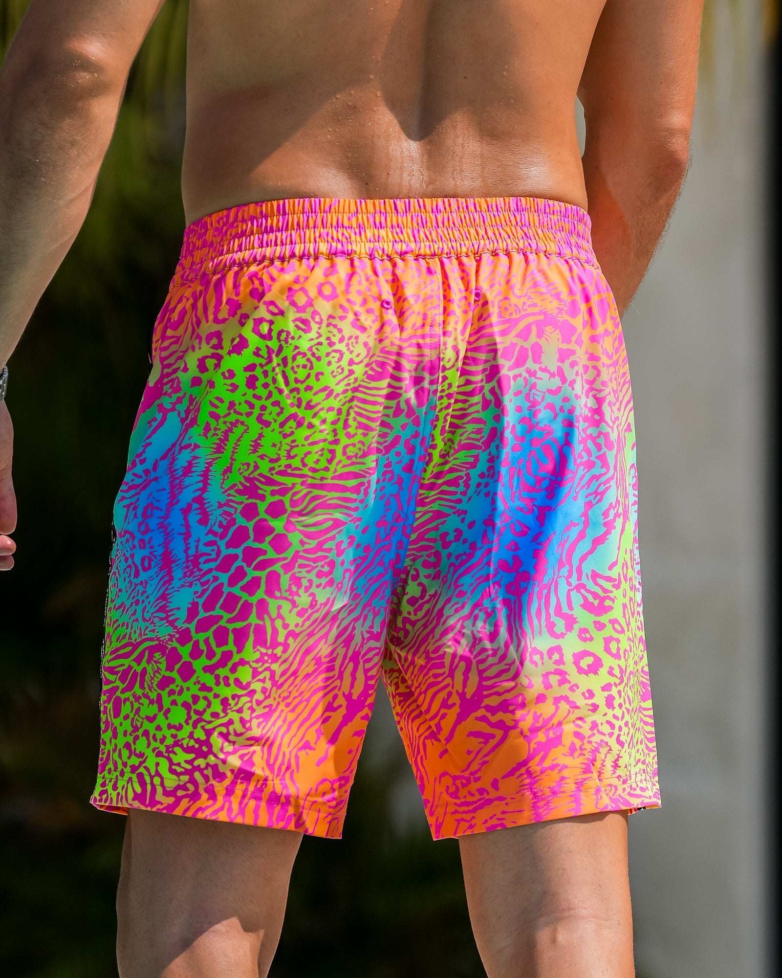 Vivid Jungle - Ignite 7" Tucann 